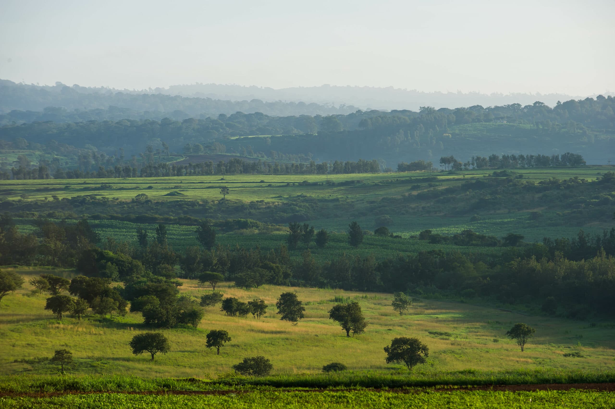 Farm House Valley