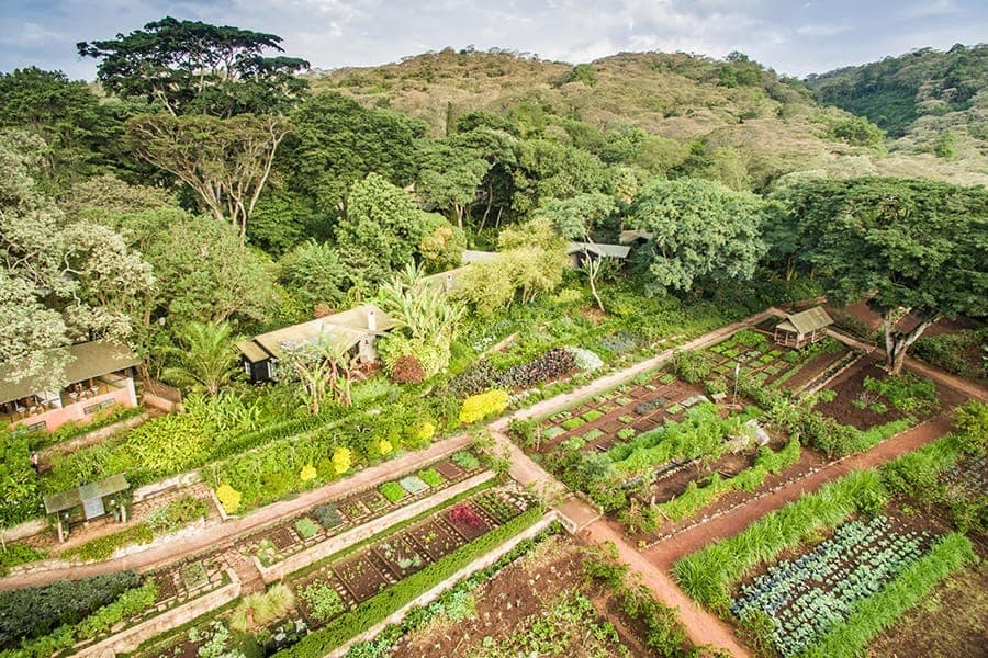 Gibb's Farm