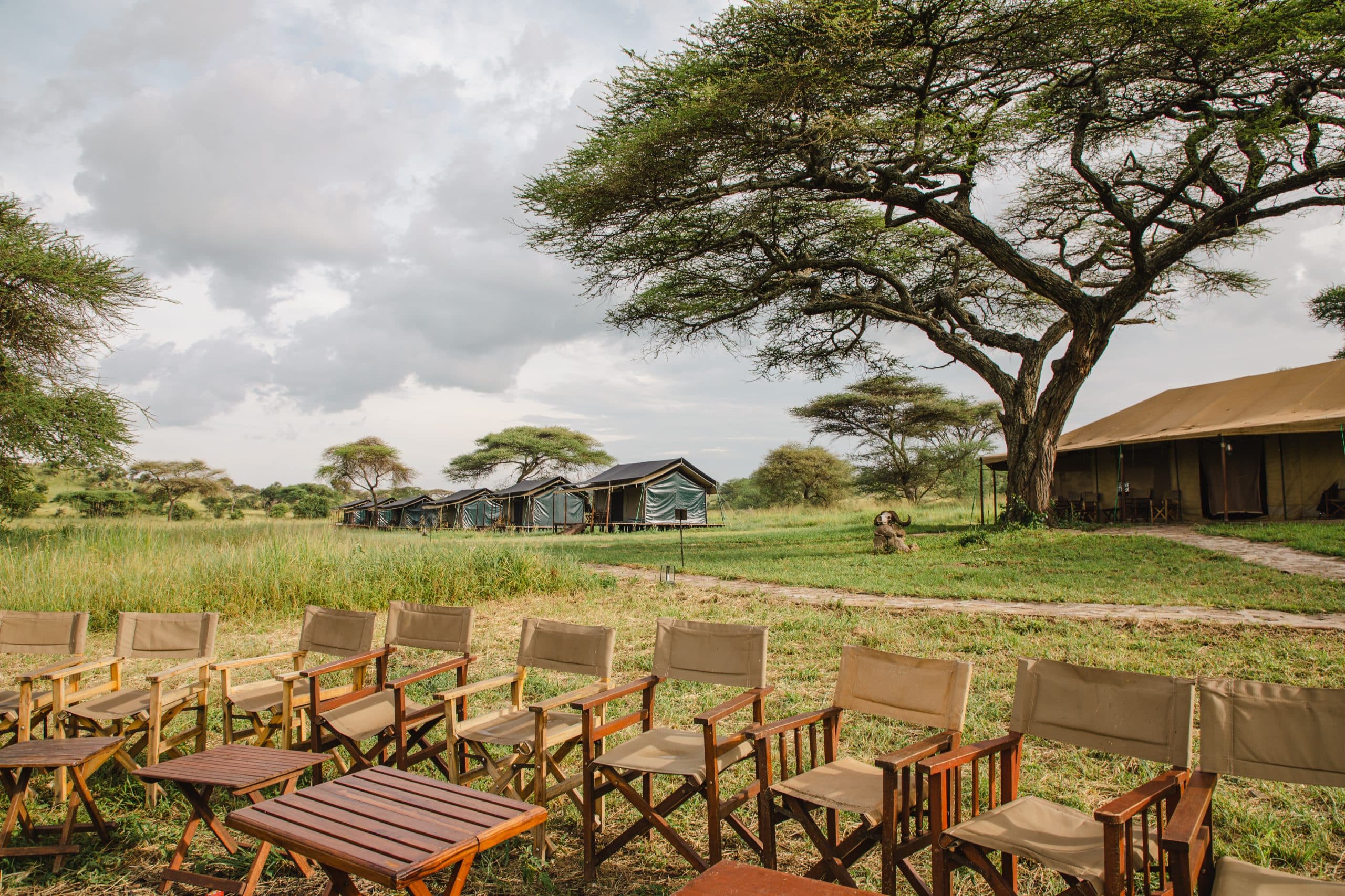Kenzan Luxury Camp