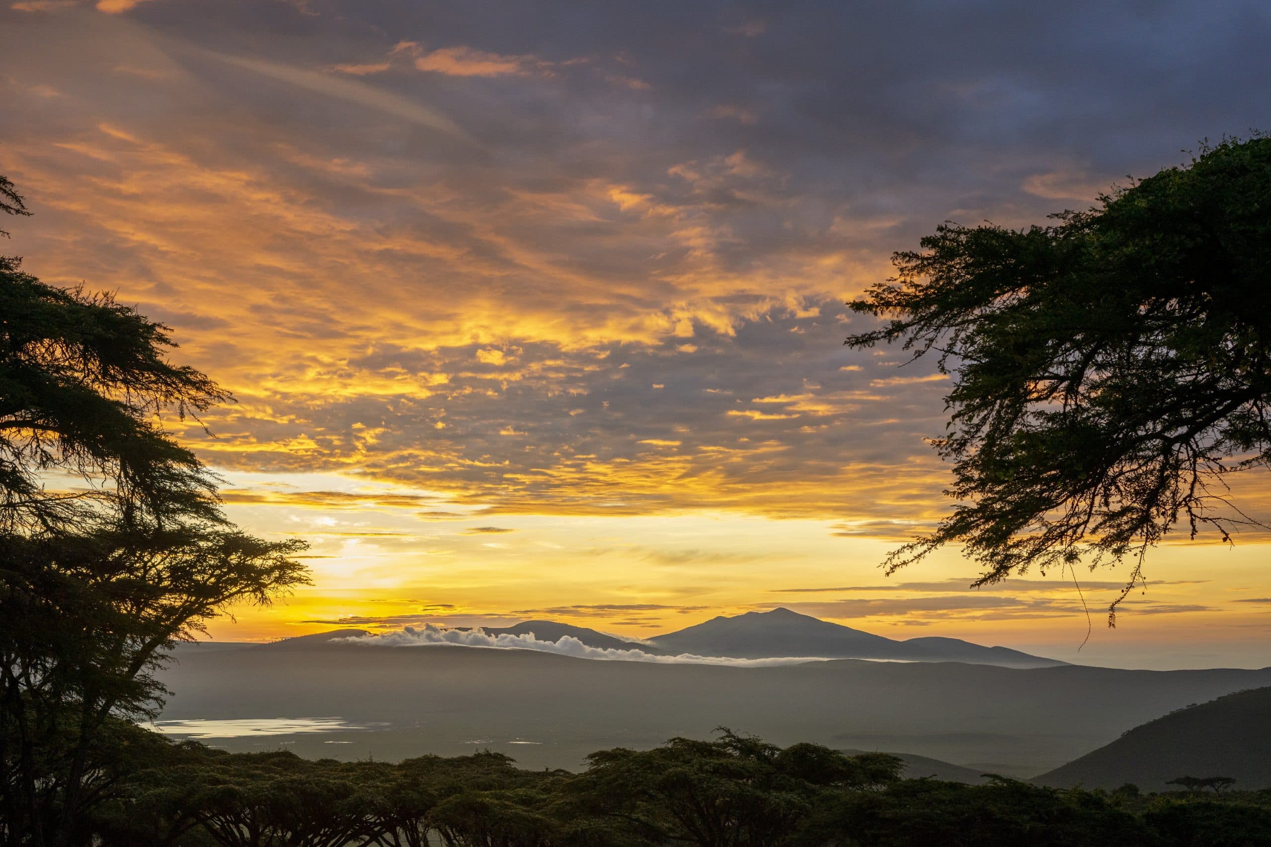 Ngorongoro Lion's Paw Camp