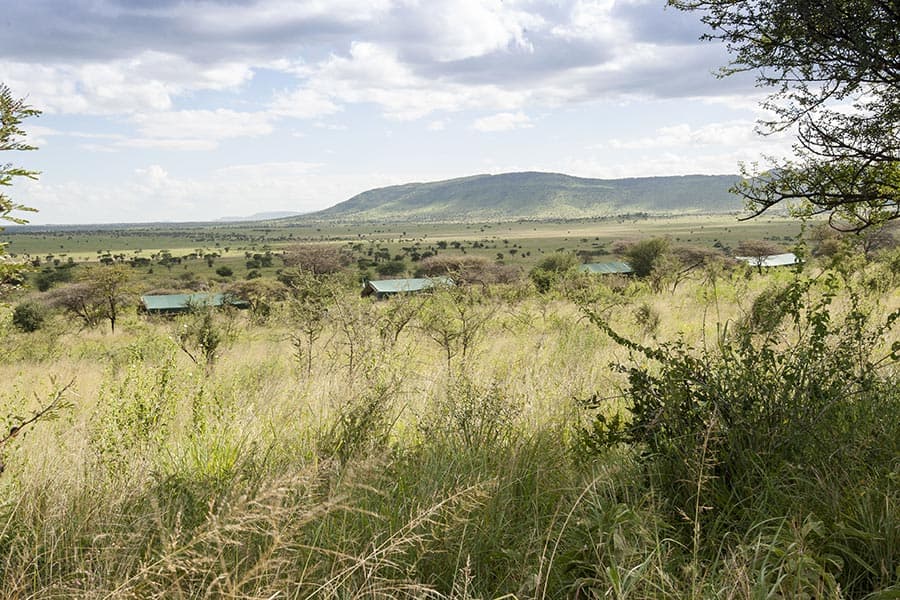 Nyikani Camp Central Serengeti