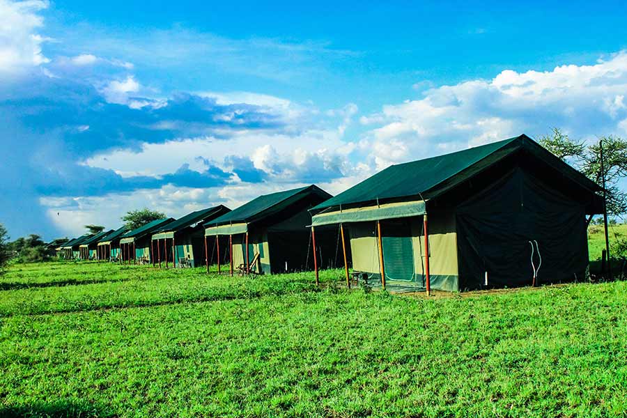 Serengeti Heritage Camp