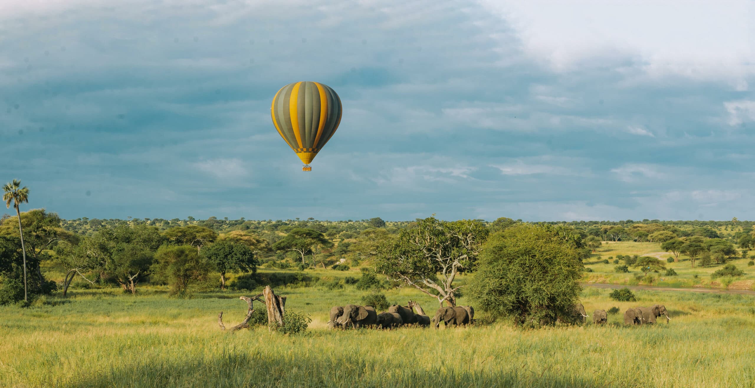 Tarangire Kati Kati Tented Camp
