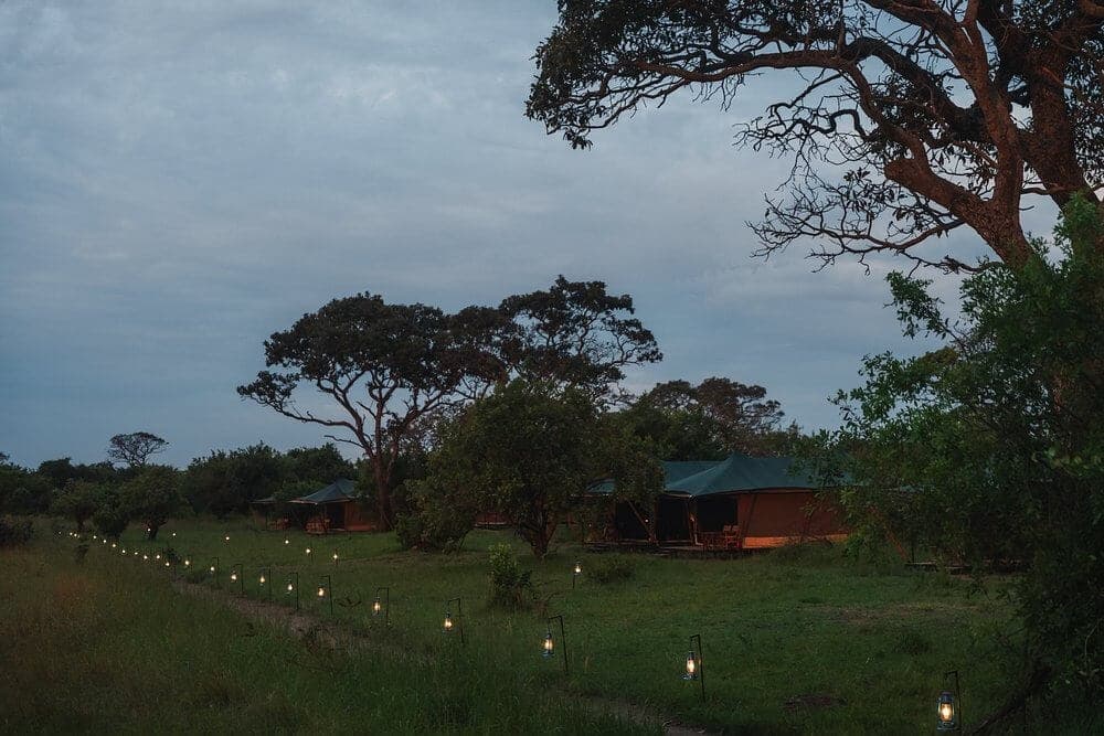 Untamed Migration Camp