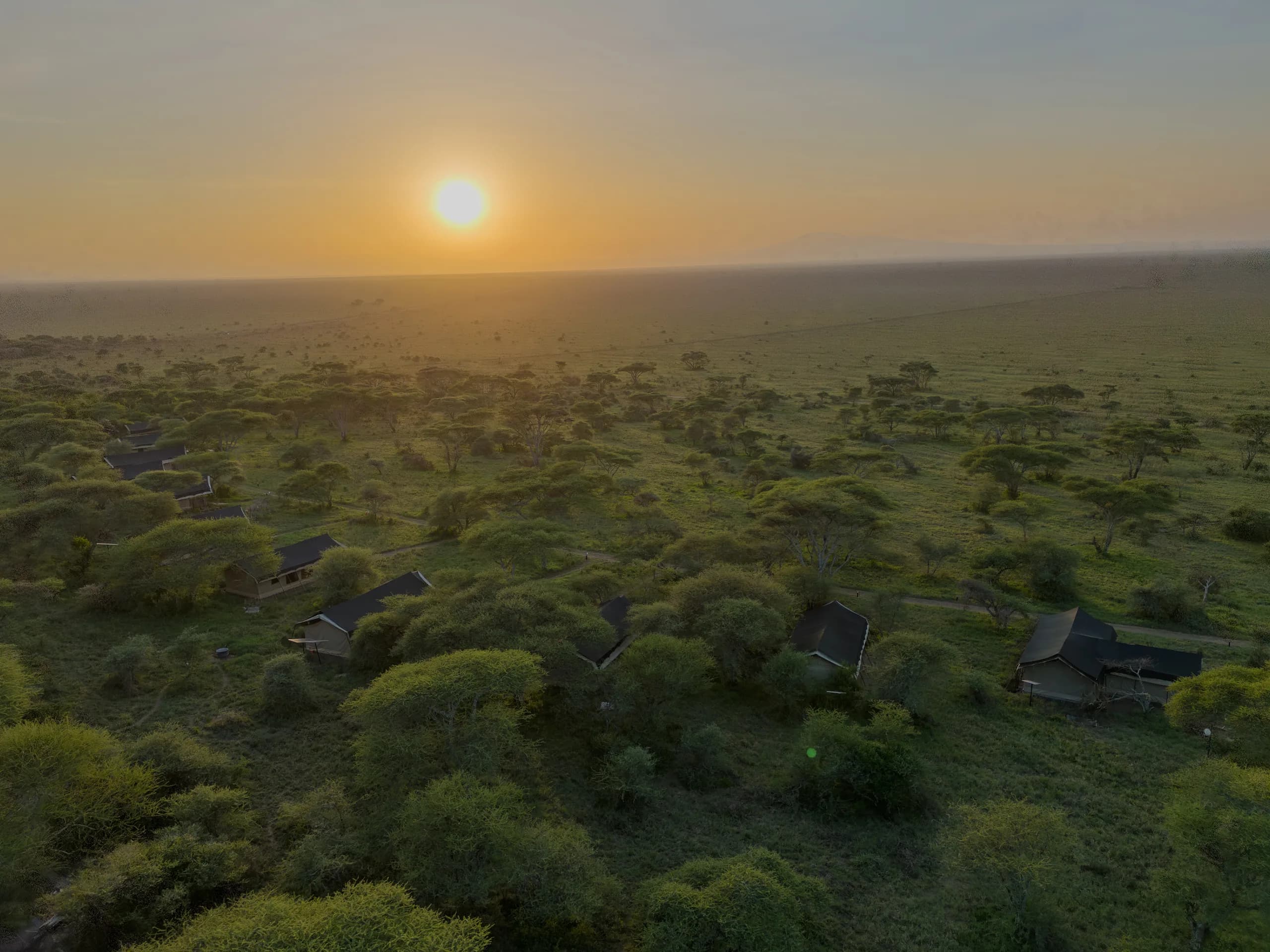 Serengeti Woodlands Camp