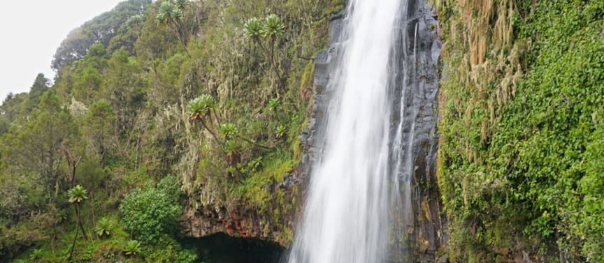 Aberdare National Park 2