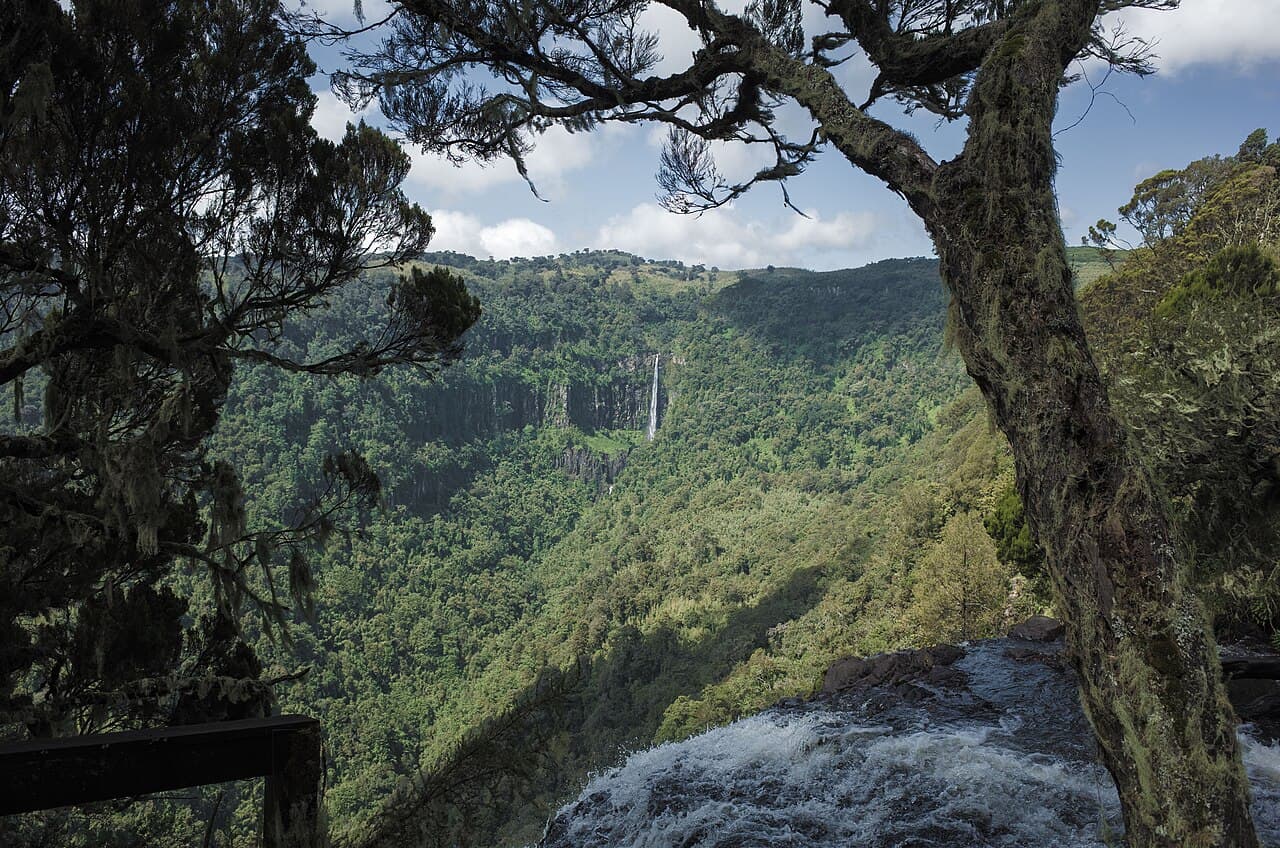 Aberdare National Park 4