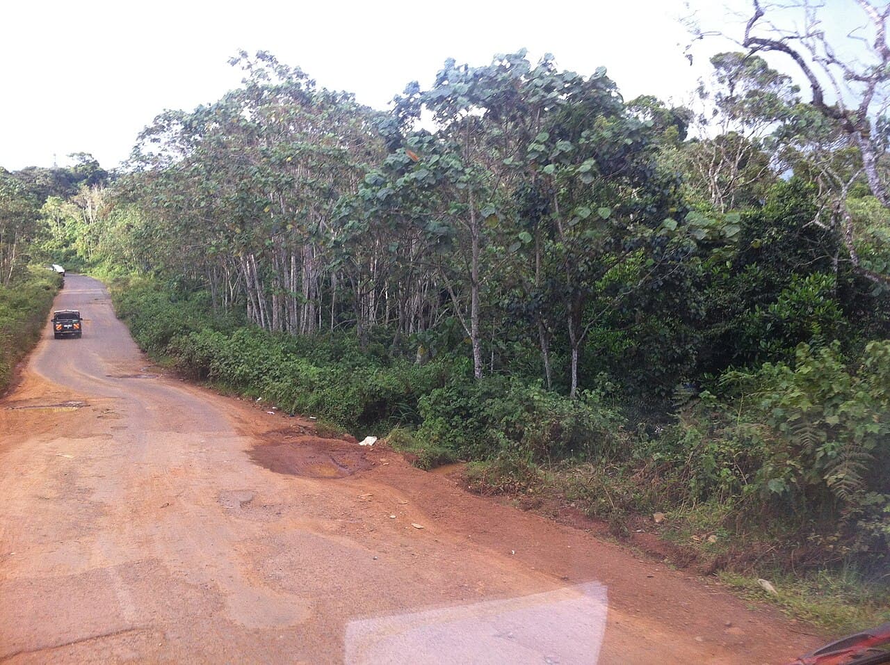 Aberdare National Park 5