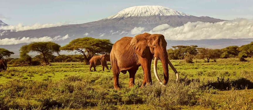 Amboseli National Park 3