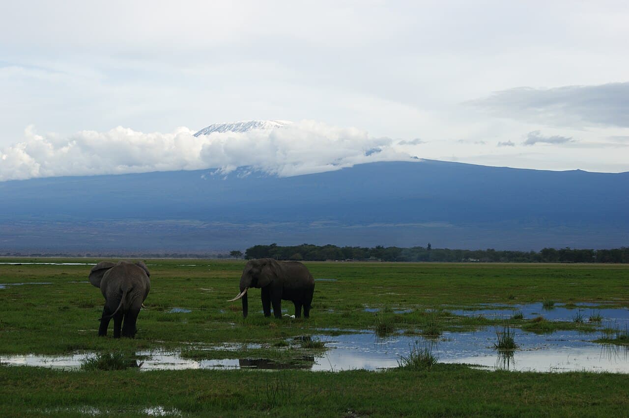 Amboseli National Park 4