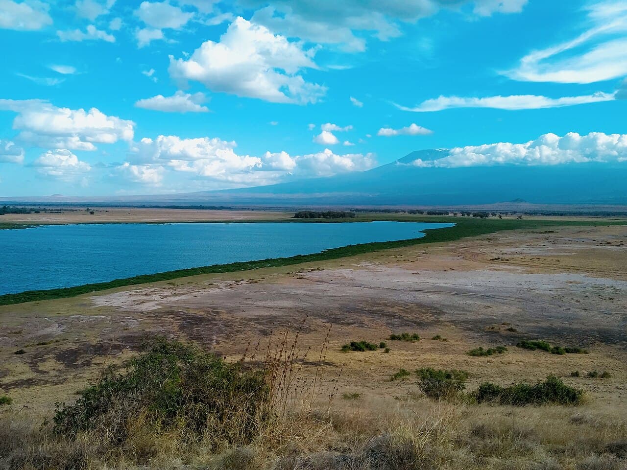 Amboseli National Park 5