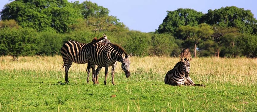 Arusha National Park 2