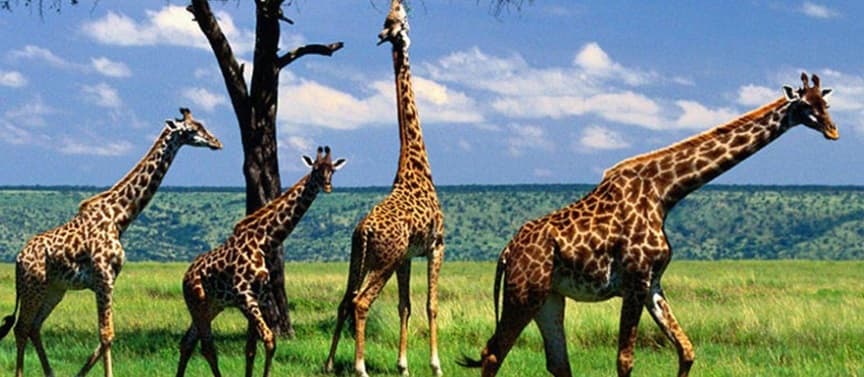 Arusha National Park 3