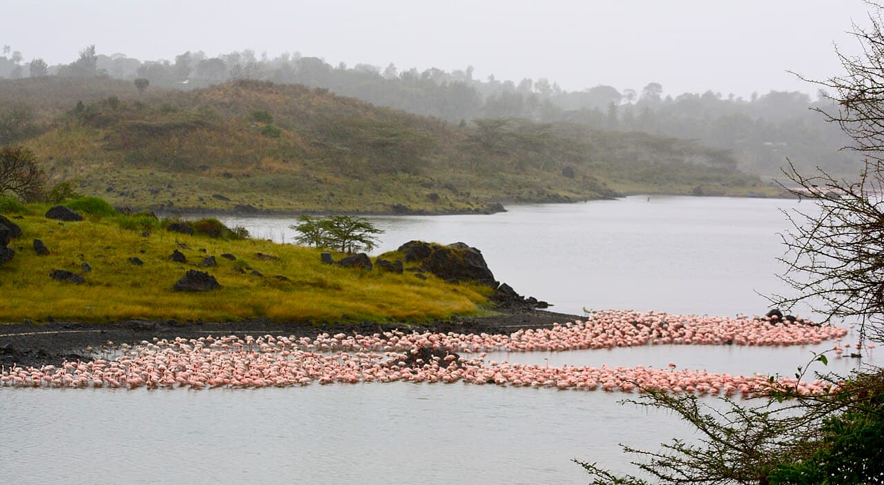 Arusha National Park 4