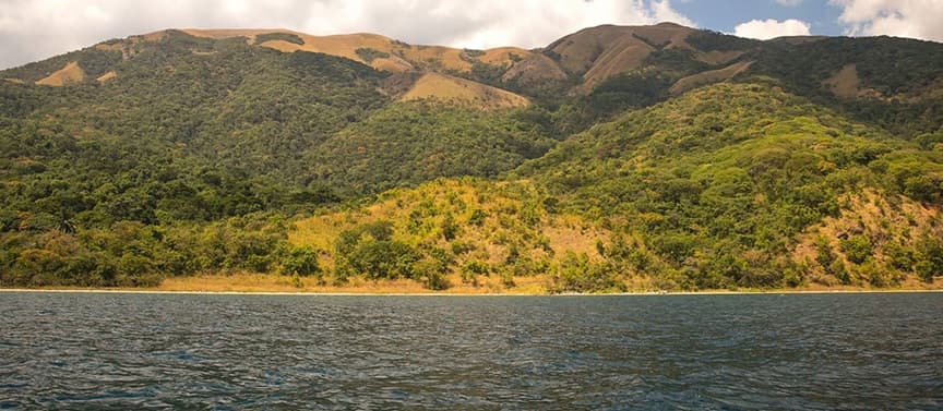 Gombe National Park 2