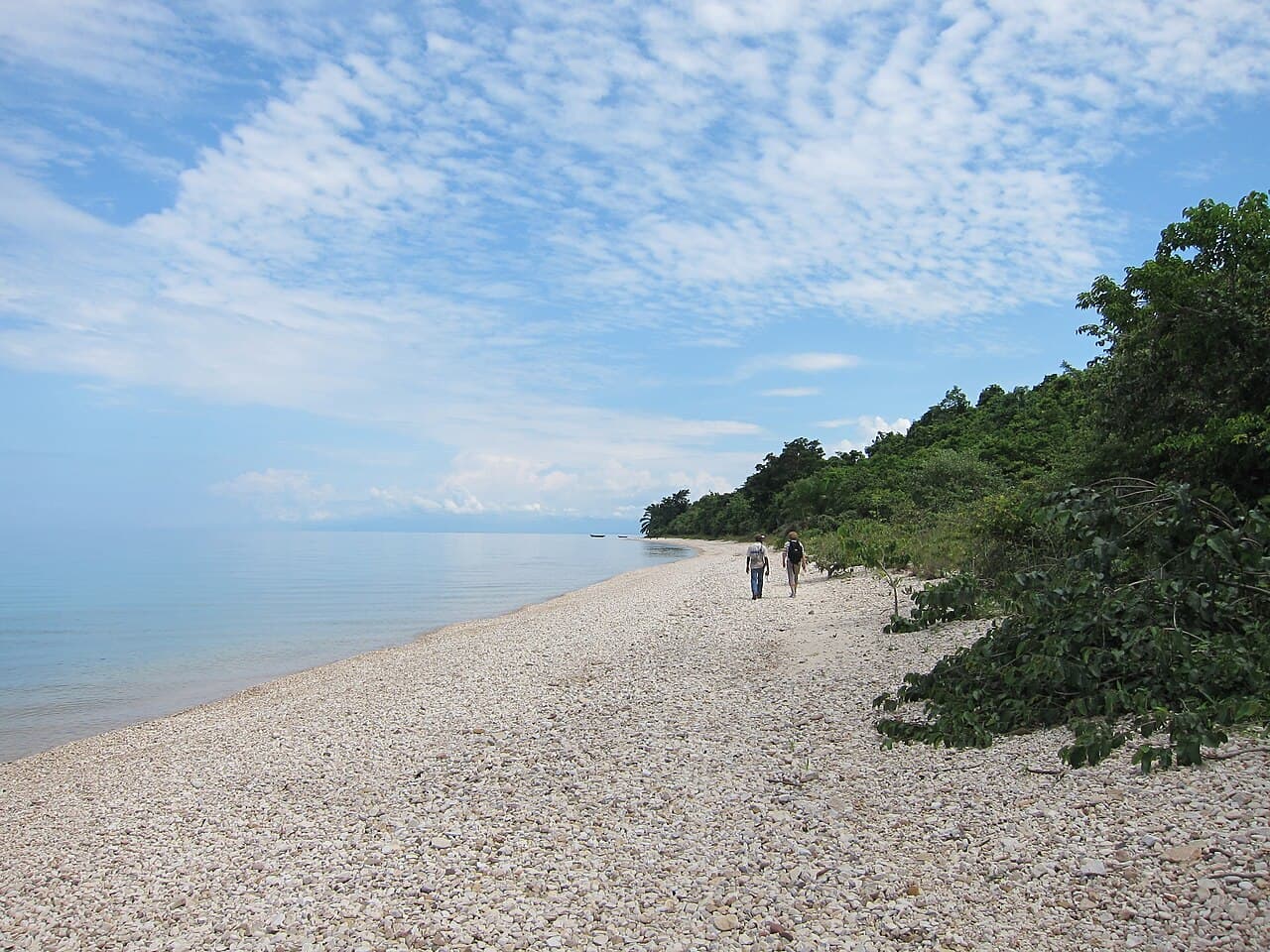 Gombe National Park 5