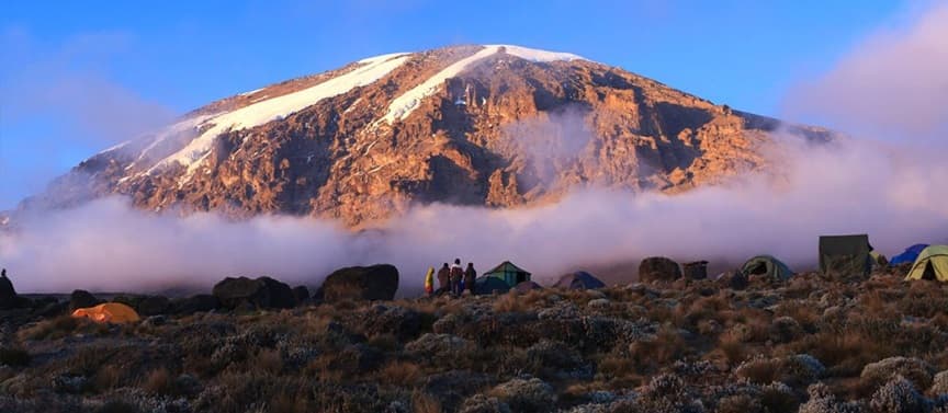 Kilimanjaro National Park landscape and wildlife