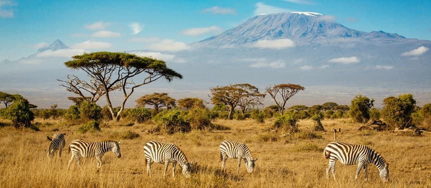Kilimanjaro National Park 3