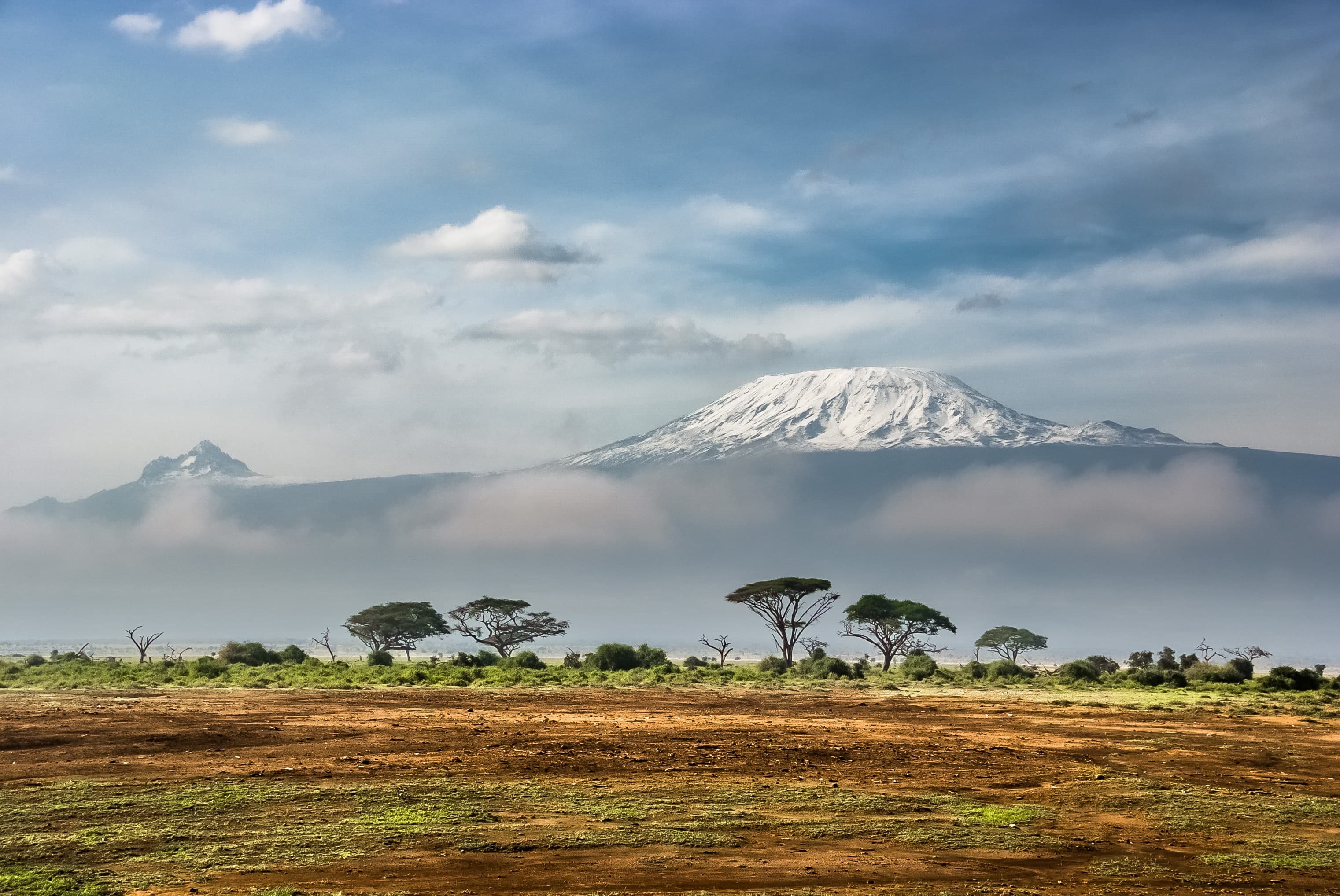 Kilimanjaro National Park 4