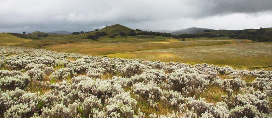 Kitulo National Park 1