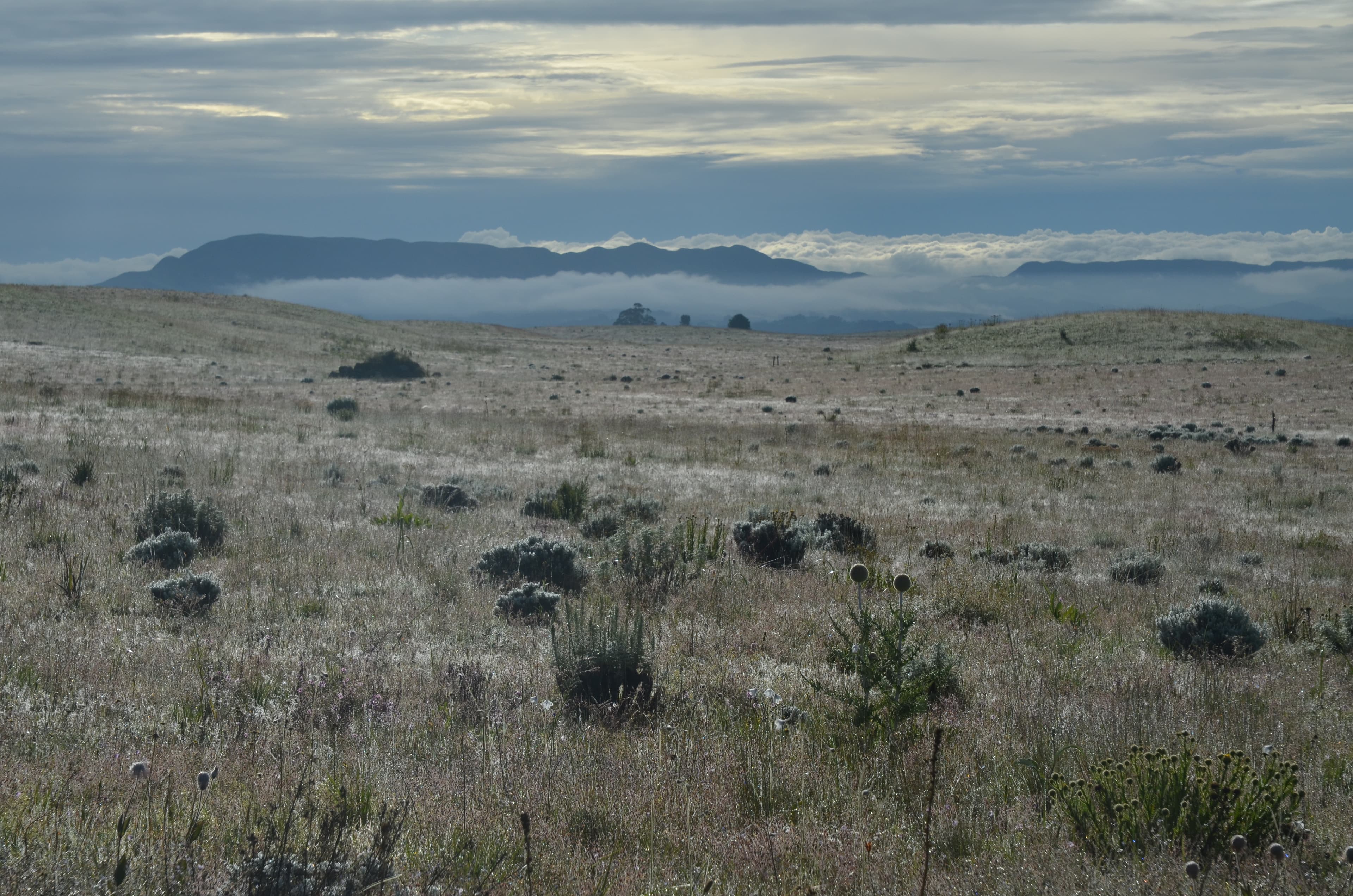 Kitulo National Park 5