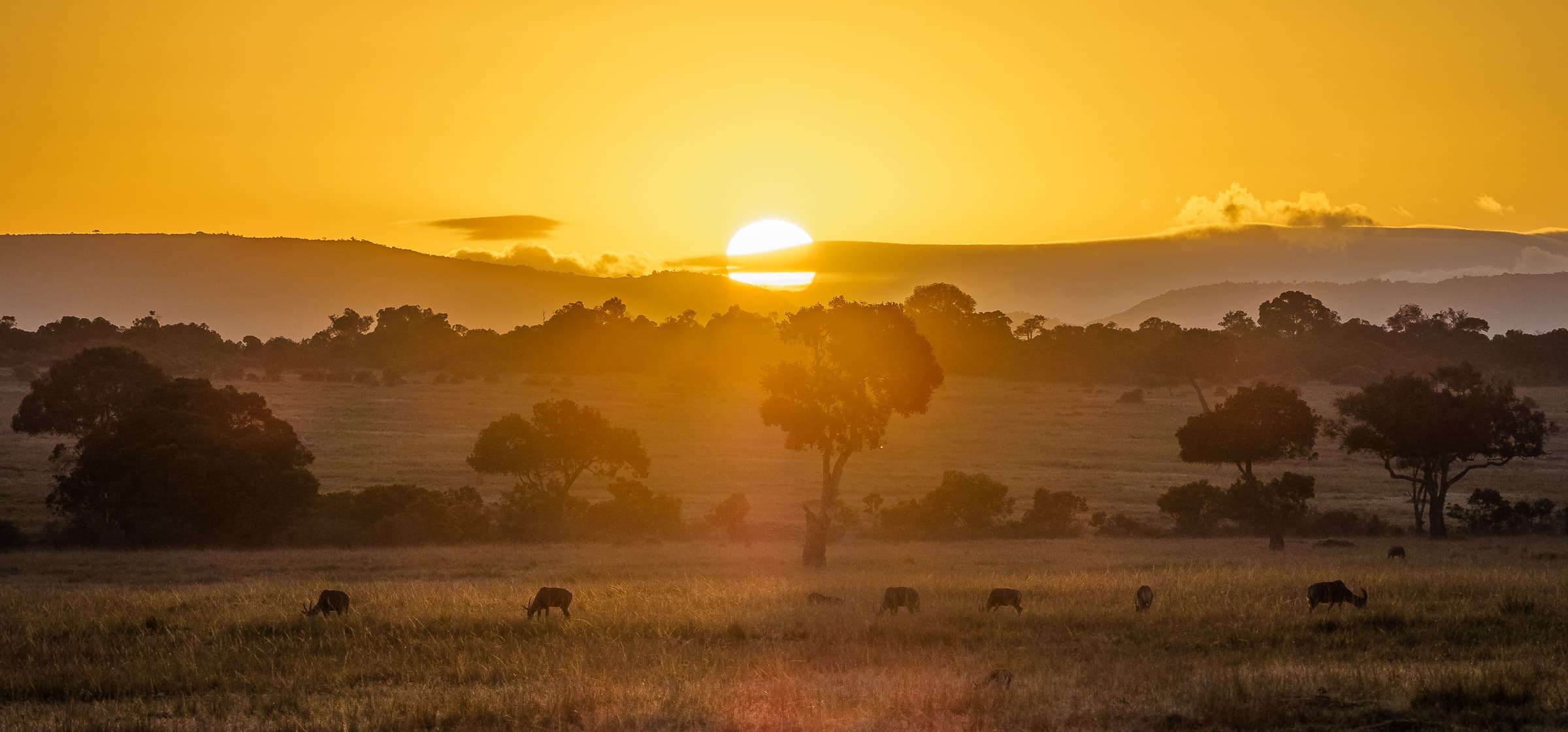 Maasai Mara National Reserve 3