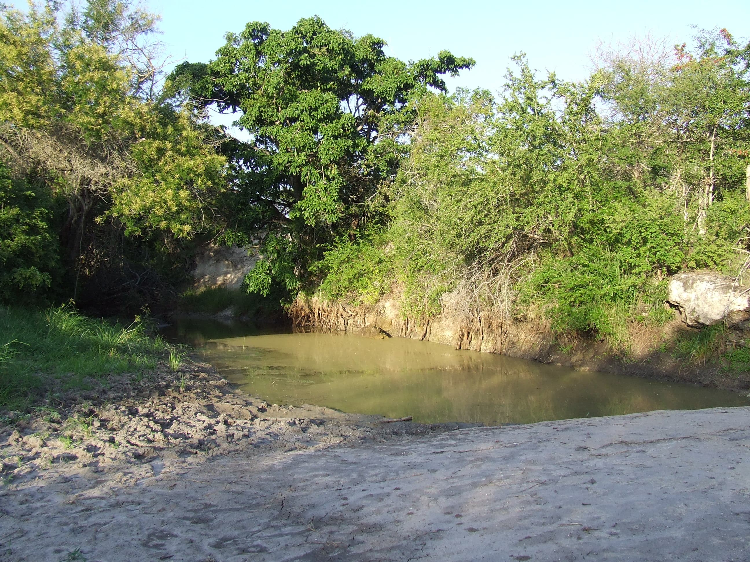 Mkomazi National Park 5