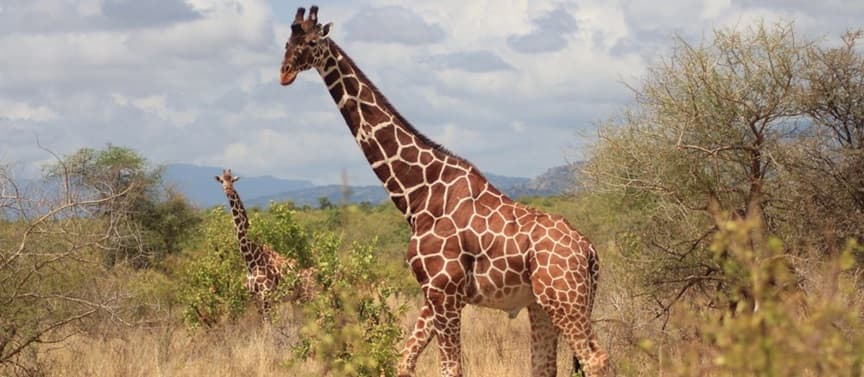 Mount Meru National Park 2
