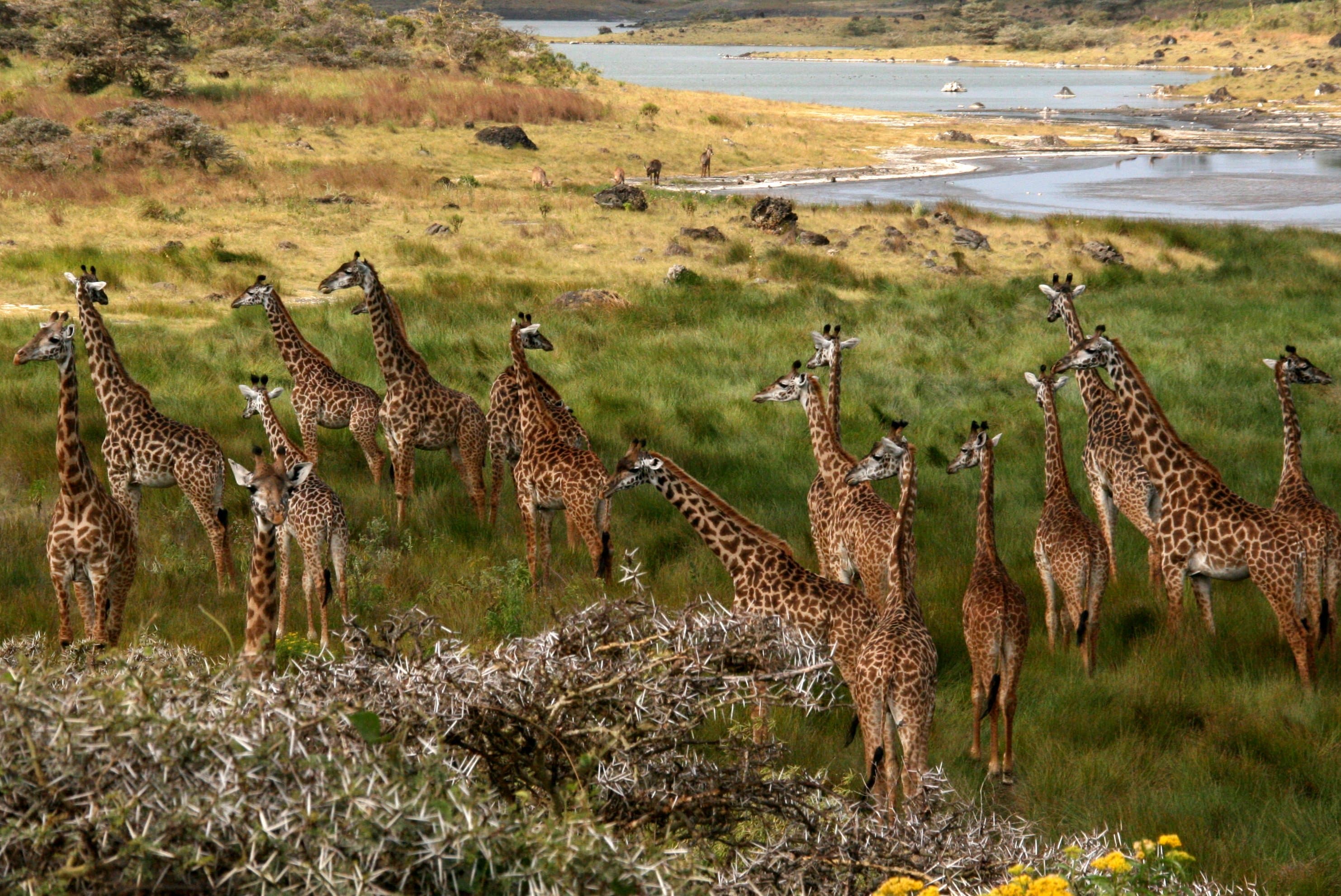 Mount Meru National Park 5