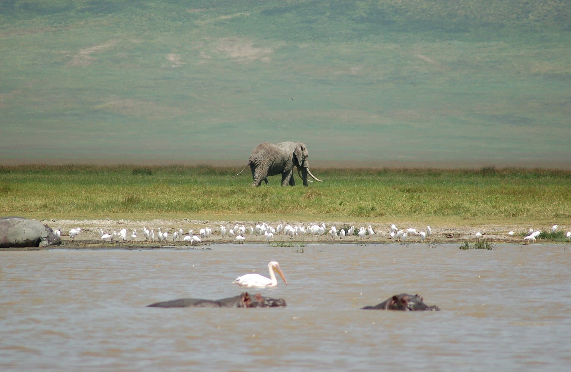 Ngorongoro Conservation Area 5
