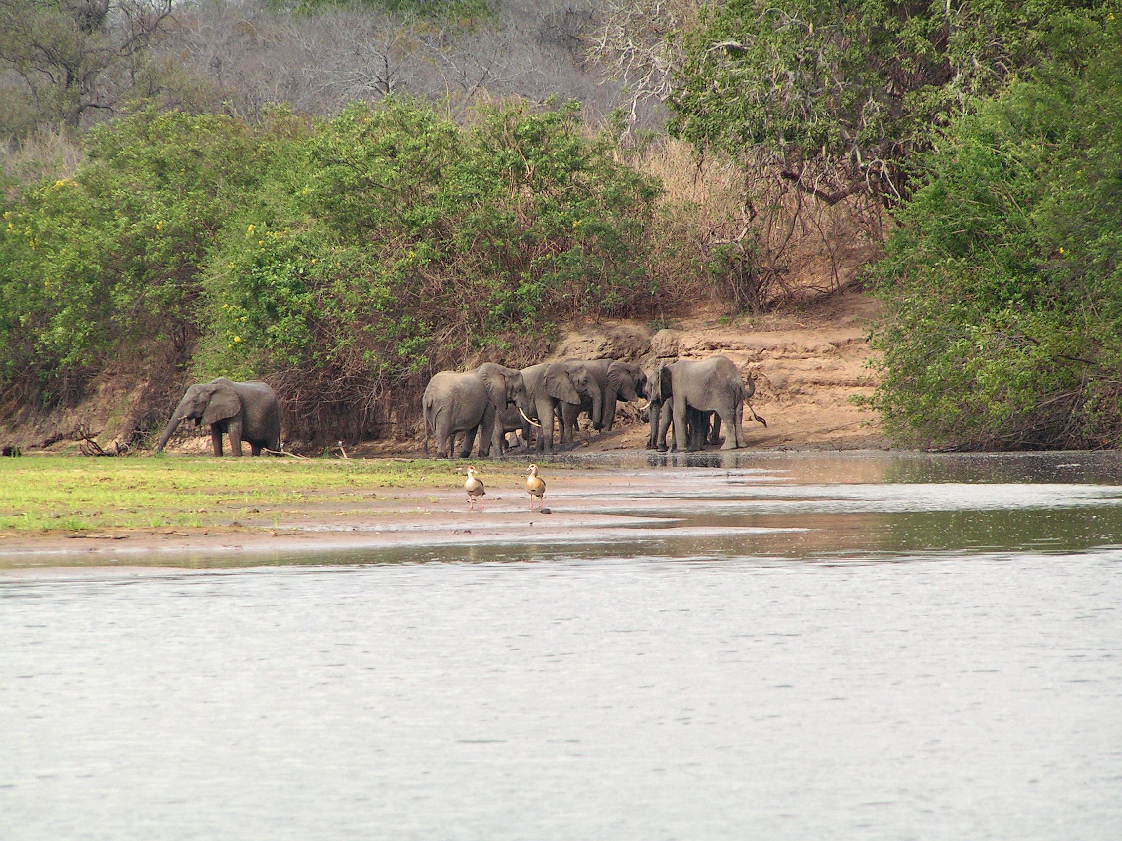 Nyerere National Park 1