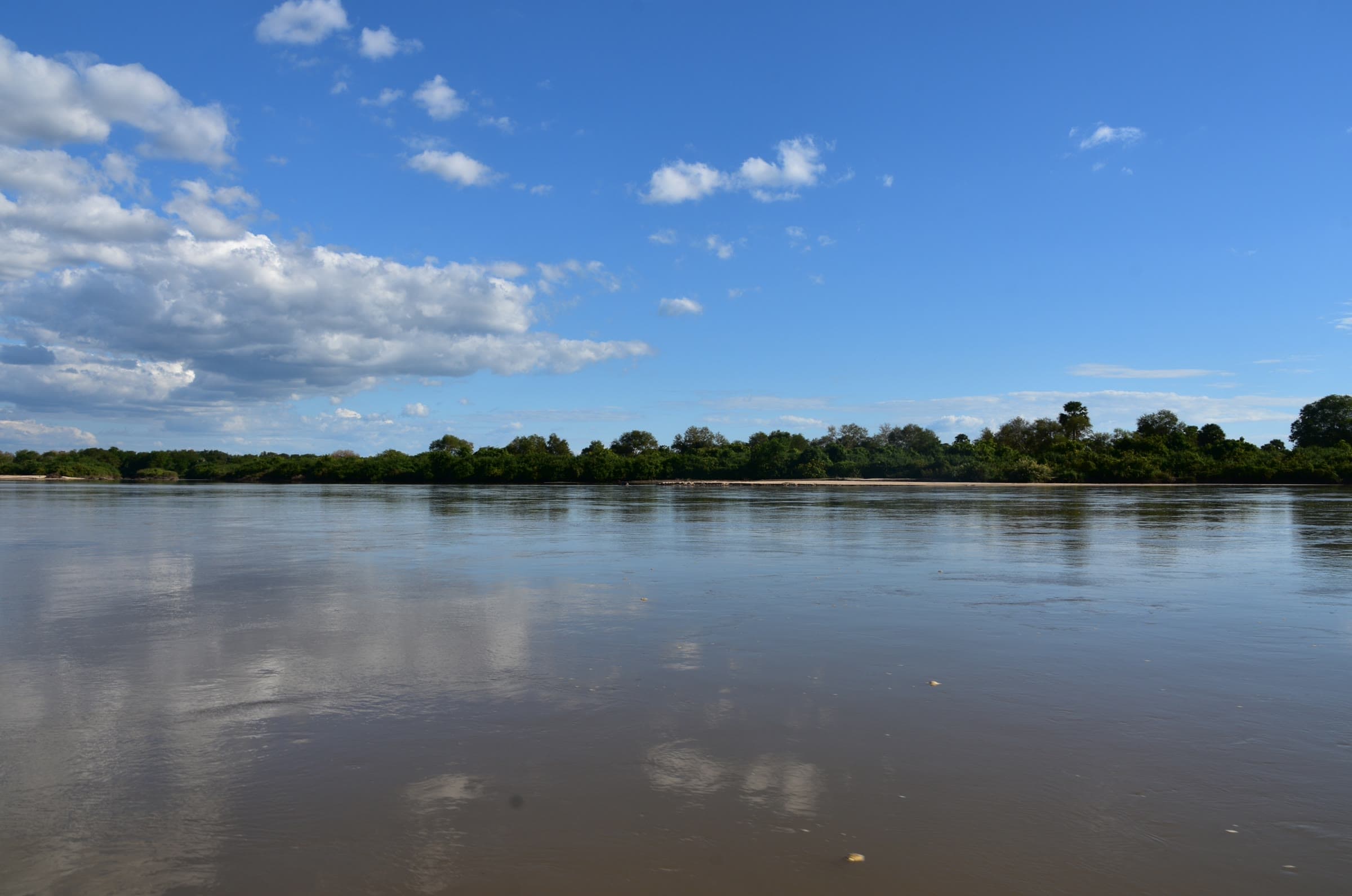Nyerere National Park 2
