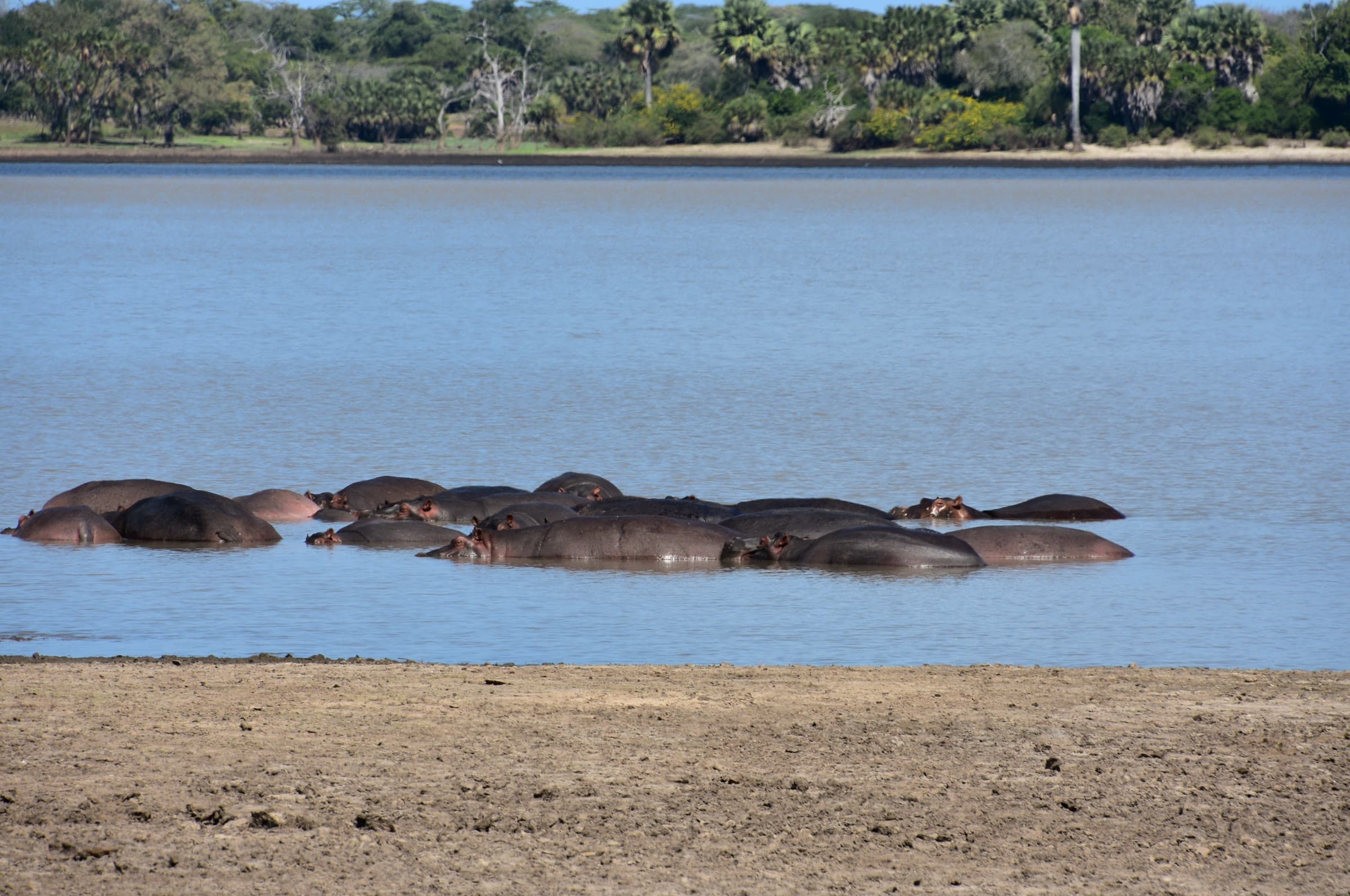 Nyerere National Park 4