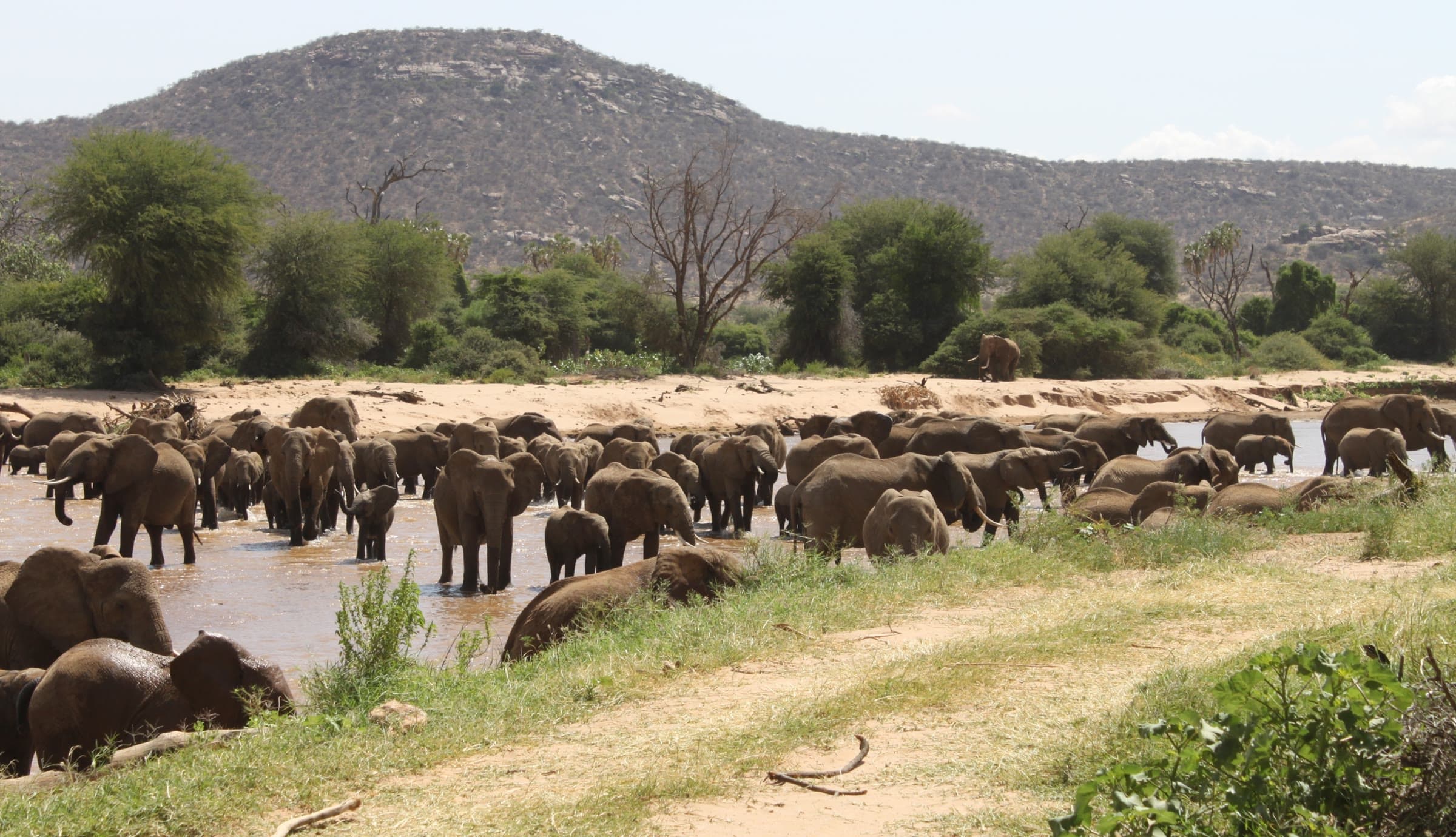 Samburu National Reserve 1
