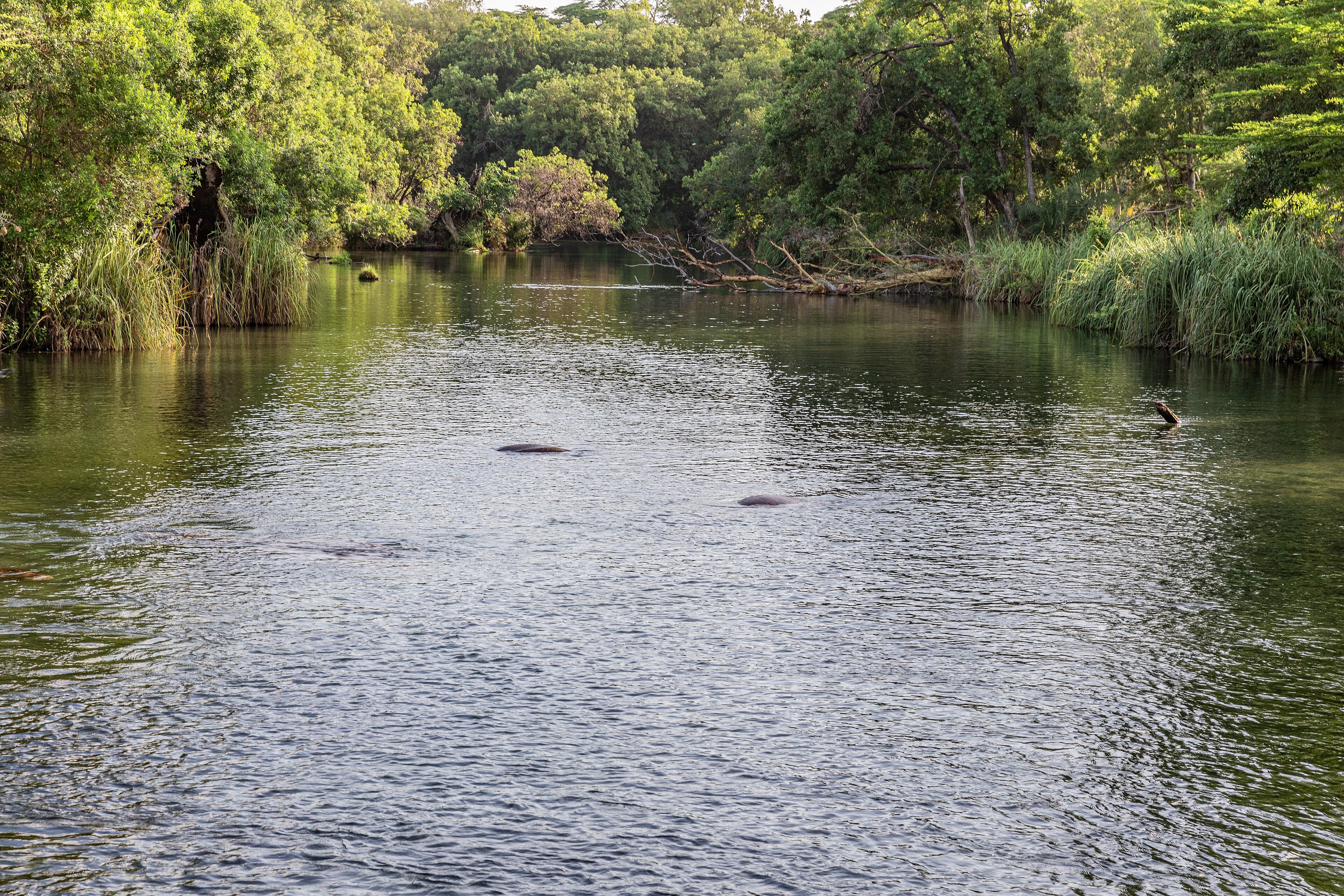 Tsavo National Park 3