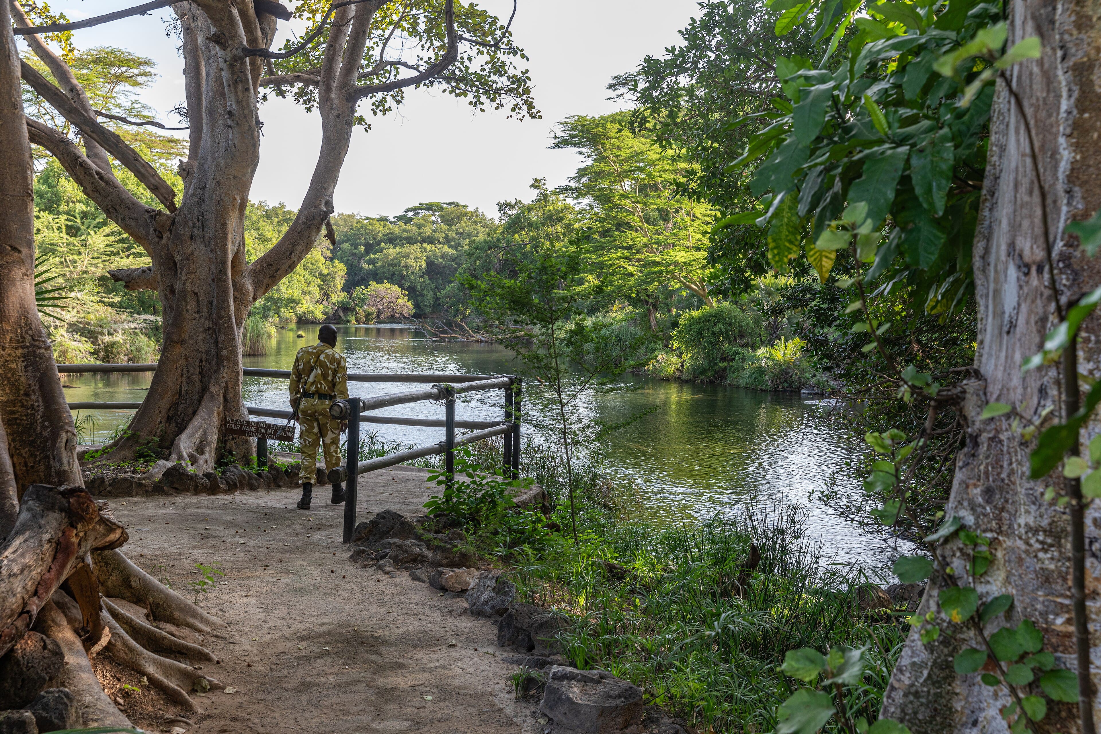 Tsavo National Park 4