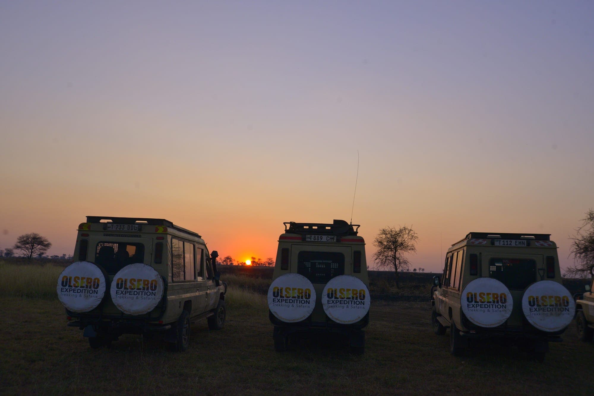 Olsero Expedition safari vehicles silhouetted against a golden sunset, ready day or night