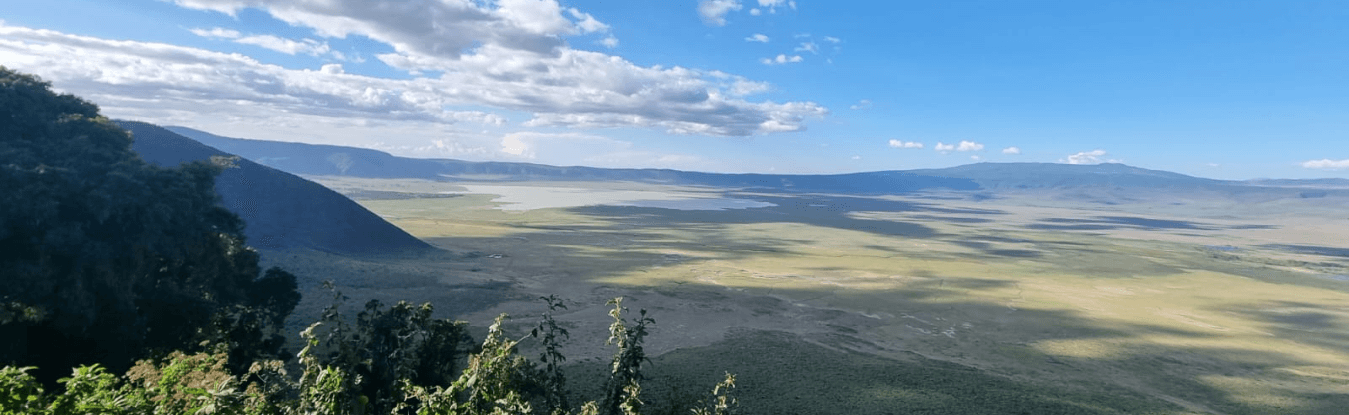Buffalo Safari