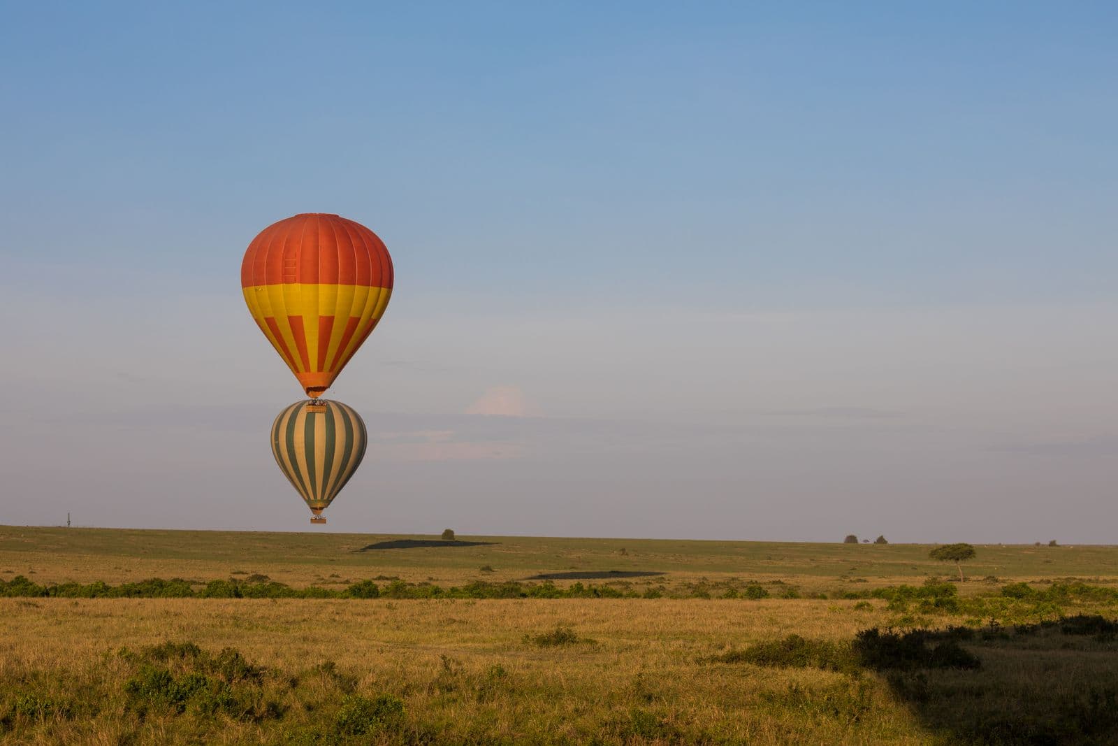 Mara River Crossing Safari — Great Migration Spectacle