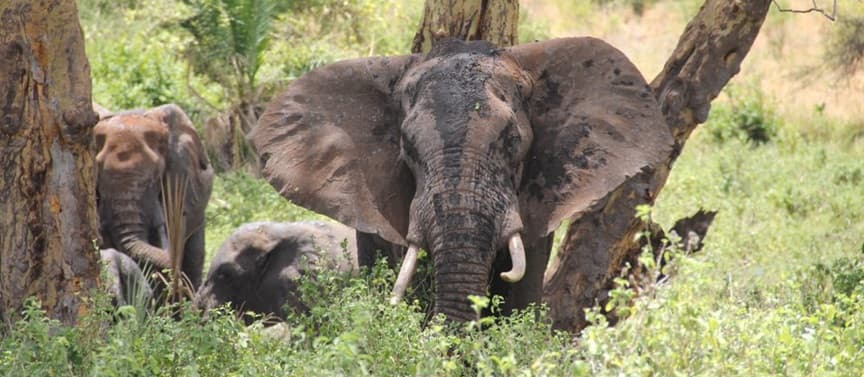 Mount Meru: Tanzania's Underrated Warm-Up Climb