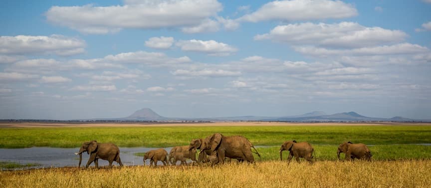 Tarangire National Park: Tanzania's Elephant Country