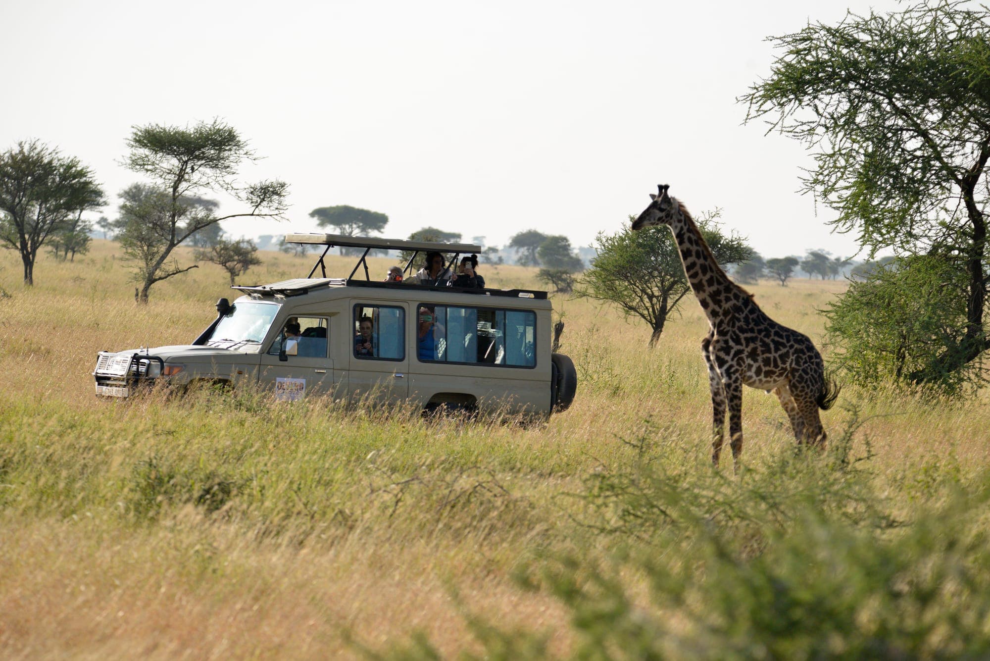 Tanzania Safari Packing List: What to Actually Bring